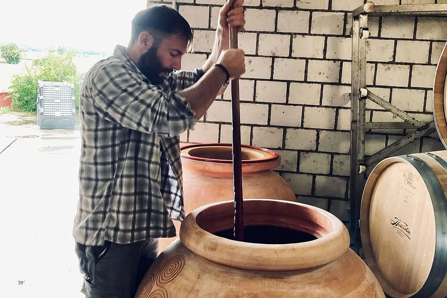 Vini naturali Svizzera Wir Komplizer con Francesco Vitali e produzione artigianale tra anfora e Pinot Noir
