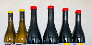 Etna, vini e identità: il progetto di Nerina Cardile Etna vini di Nerina Cardile con bottiglie ENCORE-ANCORA, VULCANICA e TERREMOTO