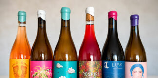 Cabeças do Reguengo: i vini dell’Alentejo tra vecchie vigne e biodiversità Vini Cabeças do Reguengo, tra cui Respiro Lagar, Flower, Altitude, Clarete, Luar e Zizi.